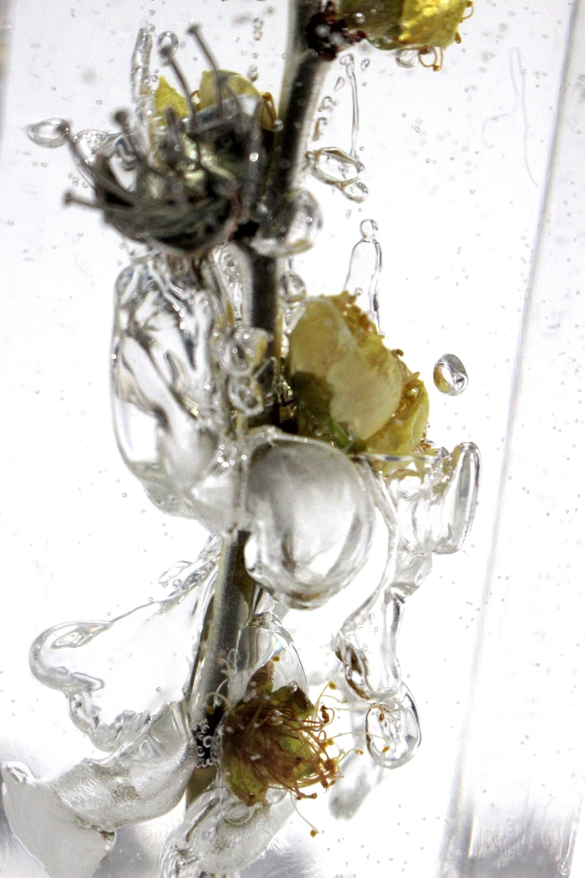 YES NECKLACE (BUBBLE) LEO GONDO collaboration
